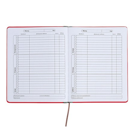 Universal diary for grades 1-11 Excellence, solid cover of artificial leather, silkography, lies, 48 ​​sheets, pink-6