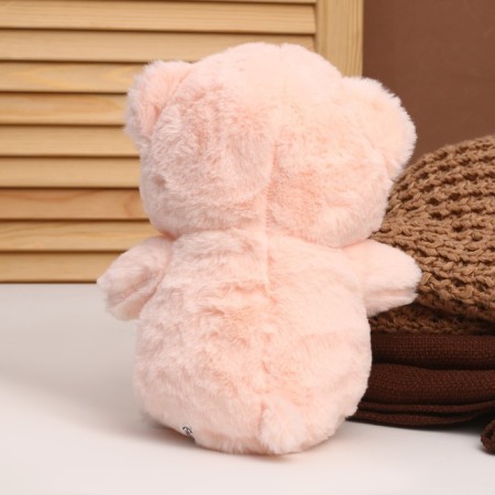 Soft toy "Bear", 23 cm, Mix colors-2