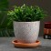 Flower pot "cone" gray 1l