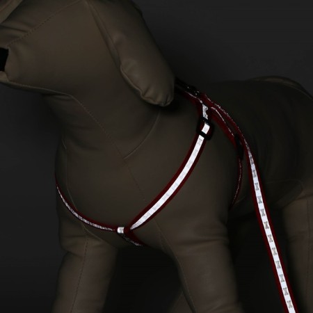 The reflective “bones” set, a collar of 120 x 1 cm, Osh 26-42 cm, fire 26-42 cm, red-1