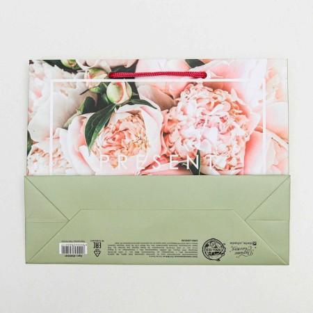 Gift Laminated horizontal package, packaging, Present, MS 18 x 23 x 10 cm-3