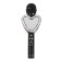 Microphone for karaoke Q5, 3 W, 1800 mAh, Bluetooth, FM, Microsd, Black