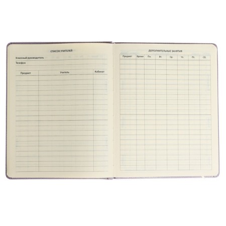 Universal diary for grade 1-11 Bird, hard cover, artificial leather, foam rubber, foil embossing, liesse, 80 g/m2-5