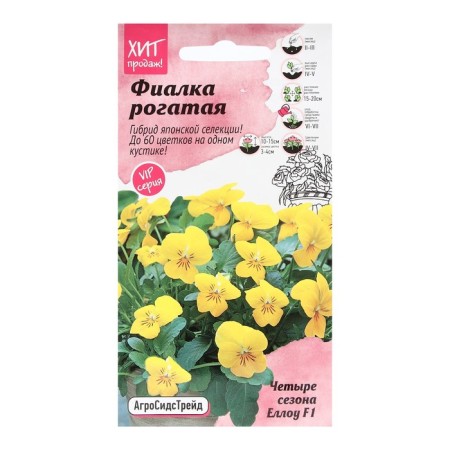 Flower seeds violet "Ello", 5 pcs