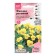Flower seeds violet "Ello", 5 pcs