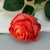 Artificial flowers "rose lady cascade, with spikes" 57x8 cm, orange