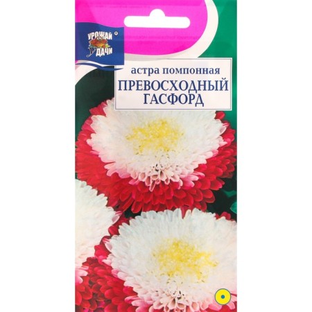 Flowers of Astra Pomponal "Excellent Gasford", 0.2 g