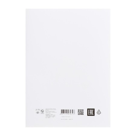 A4 drawing folder, 24 sheets "School", without a frame, block 200 g/m²-6