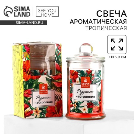 Candle in the Bank "Rainbow mood", tropical aroma