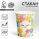 A single -single -paper cup "cat", 250 ml