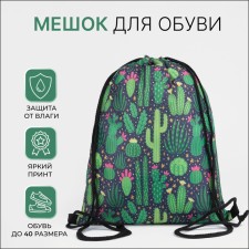 Bag for shoes on the lace, green color
