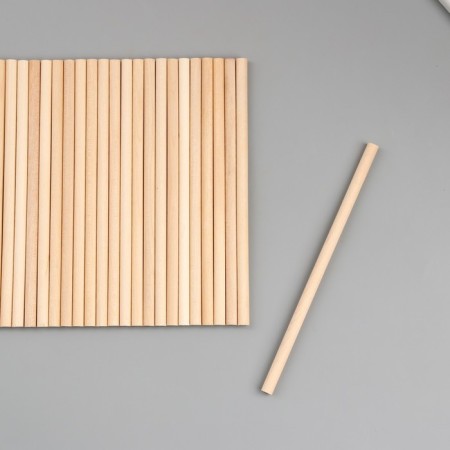 Decor wood for creativity "Natural sticks" set 30 pcs d = 0.5 cm 8x12 cm-1