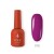 No. 078 BUTOTO Fuchsia