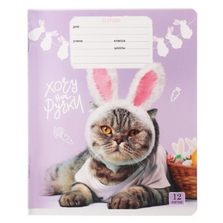 Notebook 12 sheets in a cage on a clip of "cat-piles", cover shaked cardboard, VD-pound, mix-6