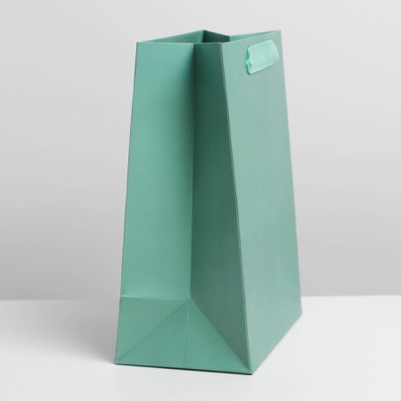 Gift Package Laminated, packaging, Tiffany, MS 18 x 23 x 10 cm-1