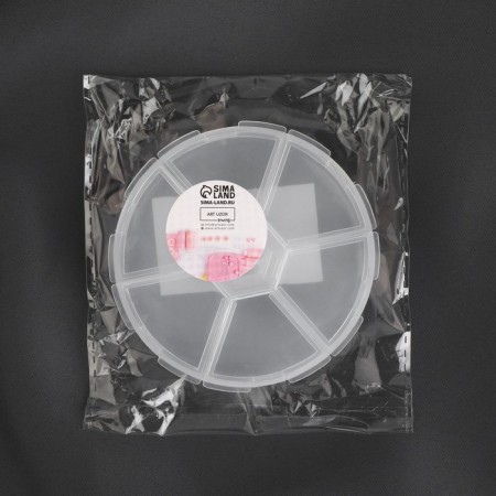 Organizer for beads, 6 departments, d = 8 × 1.8 cm, the color is transparent-4