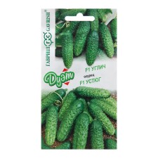 Cucumber seeds 
