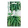 Cucumber seeds "Uglich", F1, 10 pcs. + "Ustyug", F1, 10 pcs.