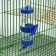 Drill for rodents 125 ml, 12.5 x 4.5 cm, blue