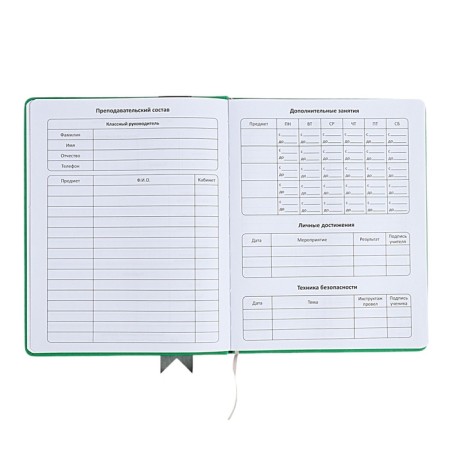 Universal diary for grades 1-11 Lenta, solid cover of artificial leather, applique, silkography, liesse, 48 sheets, green-4