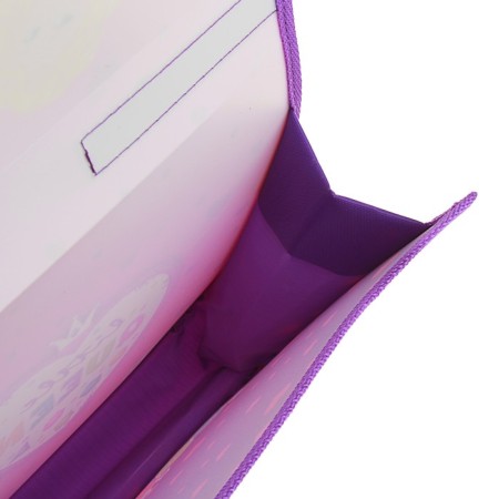 A4 Portfire folder, 330 x 240 x 90 mm, plastic, Velcro, PM-A4-23 "Modern Princess"-3
