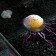 Decor for the Aquarium "Medusa", silicone, with a neon effect, 6.5 x 6.5 x 11.5 cm, violeto 71088