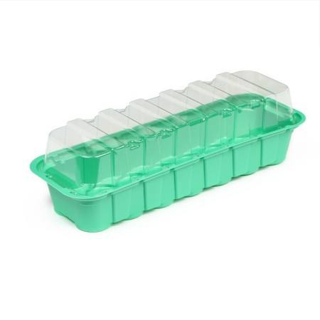 Mini-Pirate for seedlings, 35 × 13 × 11 cm, inserts (14 pcs.) For tablets for seedlings d = 4 cm, Greengo-1