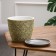 Flower Pot "Fan" yellow bud No. 3 2.15 liters