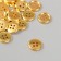 Buttons plastic 4 PROWLE "Gold" 1.2x1.2 cm set 40 pcs