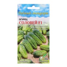Seeds of cucumber 