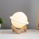 Nightlight "Planet" Led usb white d.13 cm risalux