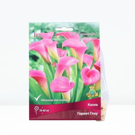 Kalla Garnet Glow, rr 14/16, 1 pc, spring 2024
