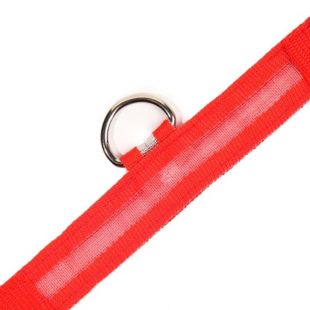 Collar with backlight size S, Osh 35-43 x 2.5 cm, 3 glow modes red-8