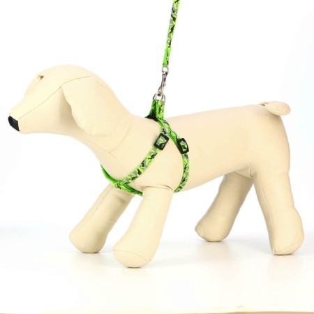 The stolen set "Militari", leash 120 x 1 cm, OG 23-35 cm, khaki-1