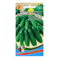 Seeds of cucumber 