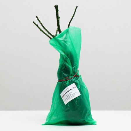 Rosa Savor's Abraham Derby, 1 pc, spring 2022-2