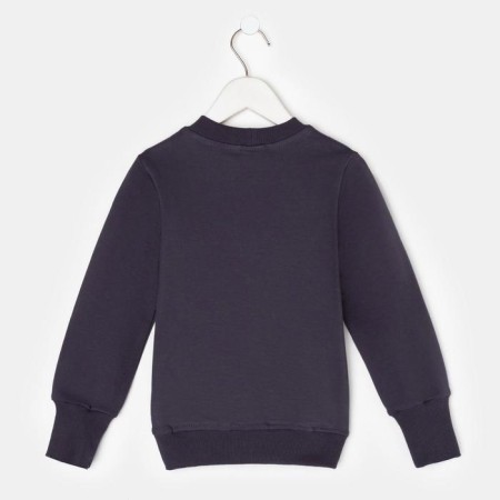Svitshot for the boy Minaku: Casual Collection Kids Graphite color, height 98-10