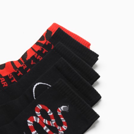 Set of men's socks KAFTAN ZMEUCCI, p. 41-44 (27-29 cm), 5 pairs-3