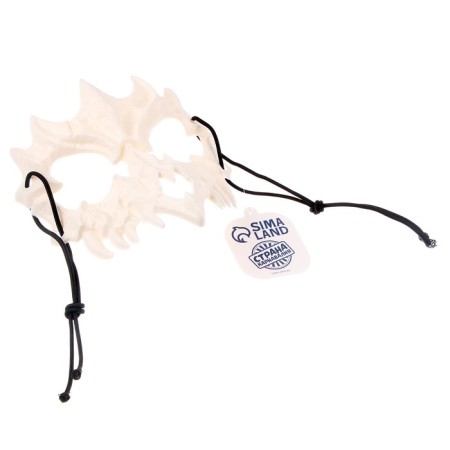 Mask "Dragon Skull", white color-1