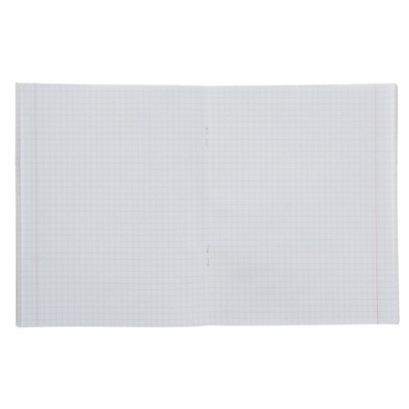 Notebook of 48 sheets in the Calligrata “Fige-2” cage, covered cardboard, OFSET block, mix-1