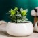 Light Bonsai Mini Pot 8x4cm, White