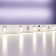 LED tape Maytoni, 24V, IP20, 2835, 4.8W/m, 4000k, 5 m, monochrome glow