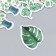 Stickers for creativity "Home plants" set 46 pcs 6.3x4.3x1.1 cm