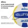 Volleyball ball Minsa SM 013, PVC, machine stitching, 18 panels, p. 5