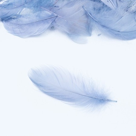 Filler of feathers for balls and gifts, silver with glitter, 10-12cm 8 g-1