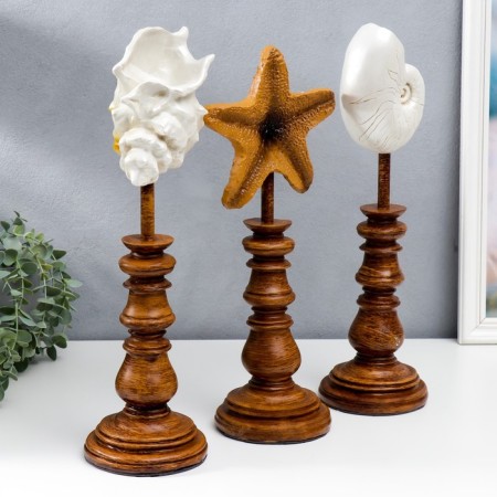Souvenir interior polystone "shell" set 3 pcs 41x12x17 cm-3
