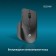 Mouse call 501mw black optical (2400DPI) wireless USB for a laptop (6but)