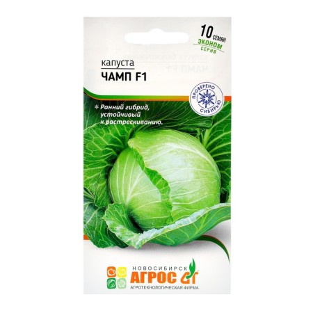 Cabbage Cabbage seeds "Champs" F1 10pcs*Economy Seminis
