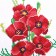 Canvas for embroidery with a cross "Maki", 20 x 15 cm
