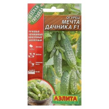 Seeds of cucumber 